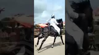 Mufti Tariq Masood Sahab ki horse riding ki new video viral 2022 #Shorts #Daily_Shorts_Clips #Horse