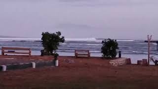 Morning Surf Check 28th 2019