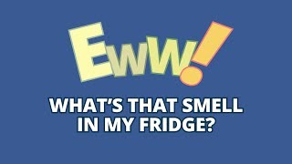 Use & Care Tips: Get Rid of Refrigerator Smells