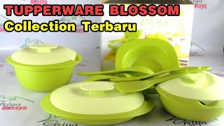 TUPPERWARE BLOSSOM Collection Terbaru