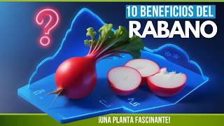 Beneficios del RÁBANO | 10 PROPIEDADES y BENEFICIOS Sorprendentes🌱