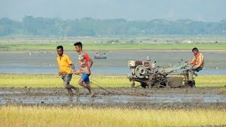 Village Life  of Bangladesh ||বাংলাদেশের গ্রামীণ জীবন