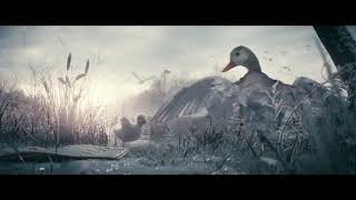 Disney Animated Short Film The Little Duck | ANIMATION BEAST