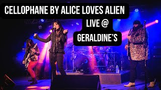 Cellophane by Alice Loves Alien | Live at Geraldine’s 2/9/23 | Shannon Wilk