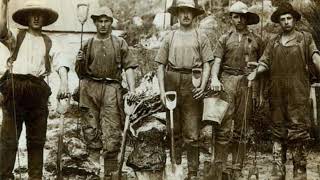 The Trade of Kauri Gum - The Song Spinners