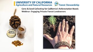 Cone & Seed Collection:  A Forest Stewardship Education Program Webinar