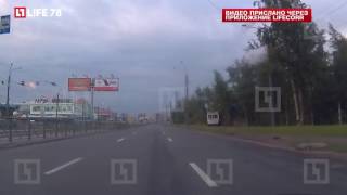 В Петербурге троллейбус вылетел с трассы, оборвав провода