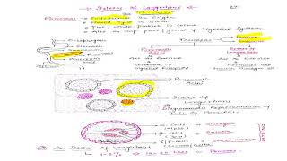 Hormone VI