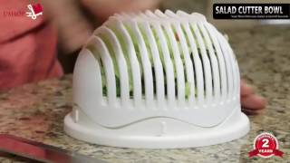 Salad Cutter Bowl