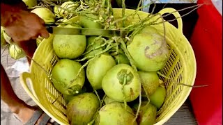 ENDLESS COCONUTS CUTTING | Thai Fruit