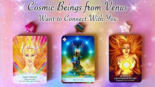 ⭐️💖 Energy Upgrades & Messages from the Venusians 💖⭐️ Timeless Pick a Card Reading 💖⭐️