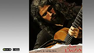 Osvaldo Lagos. Guitarra de cuerdas libres