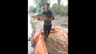 Biggest Carp Fishing - Skill Fishing Trip 51 - Survival Instinct