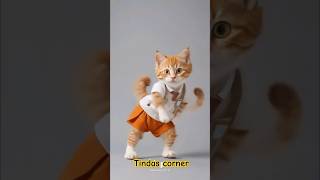 Cute Kitten #cat #lovecats #cats #catvideos #kittens #catlover #princesscat #kitten #catdance