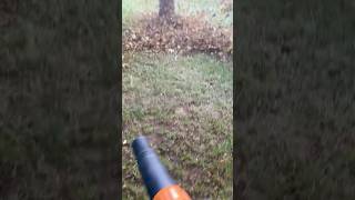 Blowing Leaves With Stihl BR700 #stihl #backpackblower