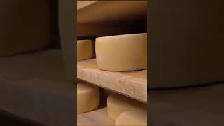 why cheese has holes?