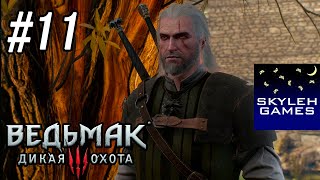 Прохождение The Witcher 3: Wild Hunt NextGen #11