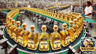 How Tequila Is Made From Agave Plant In The Factory? | Captain Discovery