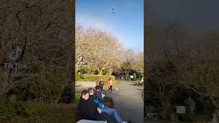 St. Stephen Green Park | December 2023 #dublin #ireland #shorts #seagulls