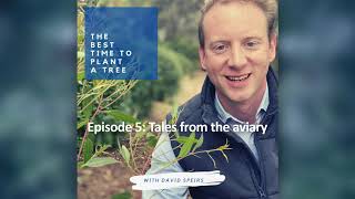 The Best Time to Plant a Tree - Episode 5: Tales From the Aviary with Elaine Bensted