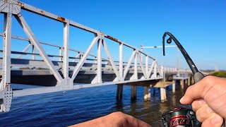 Louisiana BRIDGE fishing for whatever bites | Multi-Species Half-Day