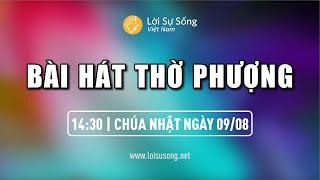 Bài Hát Ngợi Khen Thờ Phượng Chúa Nhật 09/08 | Ca Đoàn Lời Sự Sống