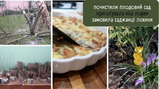 ВЛОГ в селі 🏡ЗРІЗАЄМО старі дерева ГОТУЮ КІШ з куркою 🍕КУПИЛА НОВІ РОСЛИНИ 🌾доставка саджанців