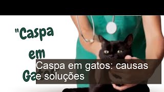 8 causas de caspa em gatos e como tratar