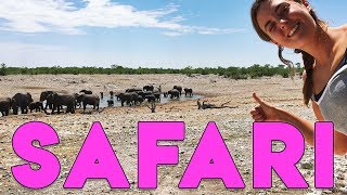 AFRIKA #11: SÅG 62 ELEFANTER SAMTIDIGT!!!!