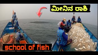 🎏🐠ರಾಶಿ ಮೀನು || school of fish || 😱