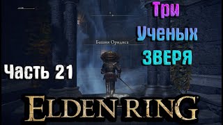 ТРИ УЧЕНЫХ ЗВЕРЯ Elden Ring прохождение (часть 21)