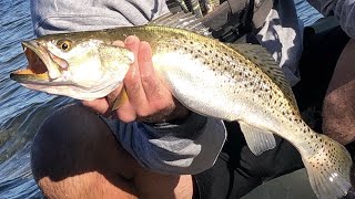 BEACH FISHING for SPECKLED TROUT! Don't make this mistake. (Ft. JC Fishin.)