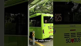 Singapore Walk - Mini SG Bus(Preview)