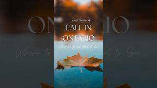 Experience the first signs of Fall in Ontario! #ontario #fallseason