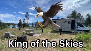 Camping with the King of the Skies - Solo Female Full-time RV Living