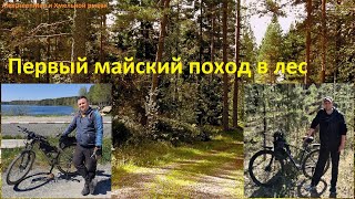 Первый майский поход в лес