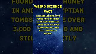 Weird Science Fact | Mind-Blowing Discoveries!