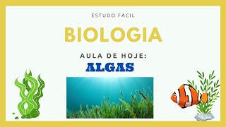 Biologia - Aula sobre o Reino Protista: Algas