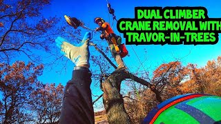 Dual Climber crane removal with Travor in Trees