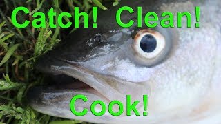 Striped Bass Catch Clean Cook-Delicious!!!