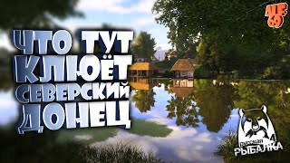 ФАРМИМ, ПРОКАЧИВАЕМСЯ, ЛОВИМ ТРОФЫ, ОБЩАЕМСЯ! | #SHORTS СТРИМ РУССКАЯ РЫБАЛКА 4