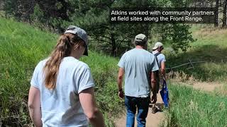 Pine Wilt Disease Prevalence on Colorado's Front Range