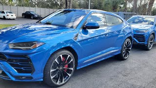 Two Blue Lamborghini Urus (Uri)