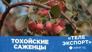 Заработать 30 миллионов на саженцах | Телеэкспорт