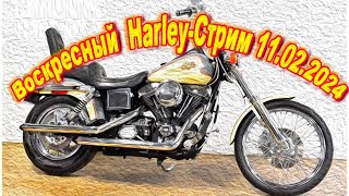 Воскресный Harley-Стрим 11.02.2024.Фоновая тема -Любовь и ненависть к Harley-Davidson Dyna!