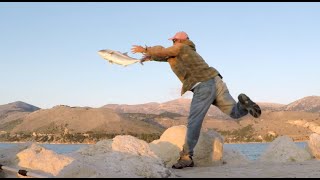 C&R Fishing Amberjack, On Light Tackle, Fishing Greece