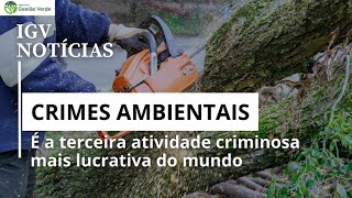 IGV NOTÍCIAS: O Lucrativo Mundo do Crime Ambiental 🌍💰