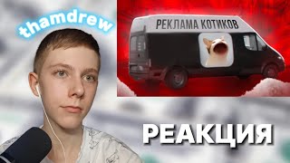 thamdrew СМОТРИТ: РЕКЛАМА НА😸КОТИКОВ В ЦЕНТРЕ МОСКВЫ ▶ marazm