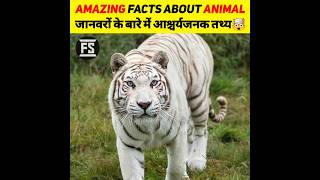 🤯जानवरों के बारे में कुछ जानकारी🤯 /Some information about animals #facts #ytshorts #shorts #anima