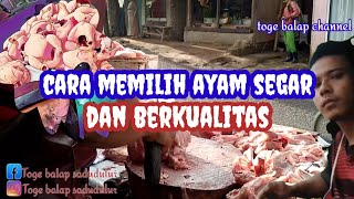 cara memilih ayam potong yang segar dan berkualitas